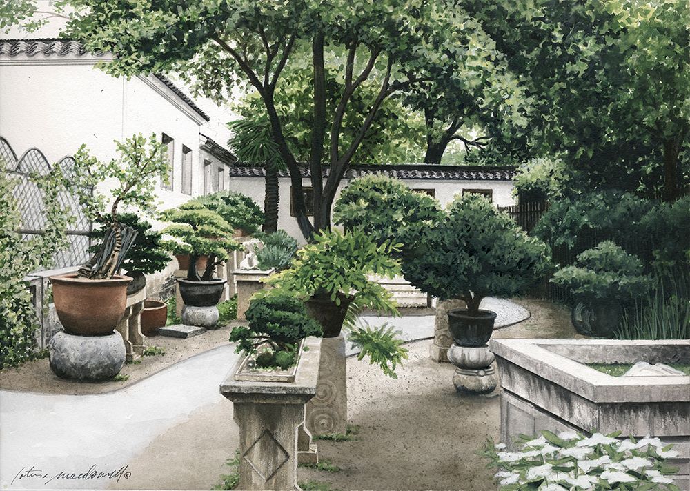 Zen Garden-China- Limited Edition Giclee Print. Have you ever wanted to escape to some place exotic? Well, now is your opportunity to do so with this magnificent full color, watercolor painting by Lotus MacDowell, Artworks WV. Gaze upon this serene courtyard setting, containing meticulously trimmed bonsai trees of all shapes and sizes and a mysterious path that winds through the middle to lead you back toward the buildings that encompass this secret area.